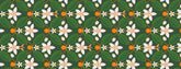 Fiori